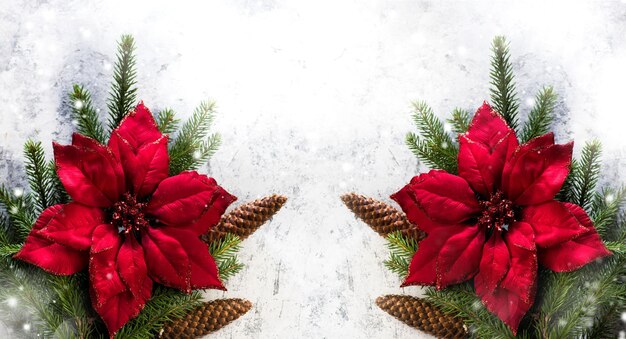 Décoration de Noël avec poinsettia, branches de sapin avec cônes sur fond gris clair. Bannière festive du Nouvel An, vue de dessus, espace de copie