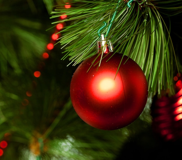 Décoration de Noël. Prise de vue en studio. fermer