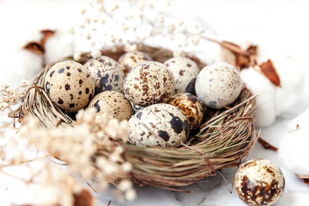 Décoration de Pâques avec oeuf en nid et coton sur table en marbre blanc