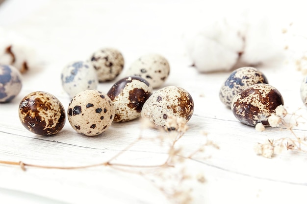 Décoration de Pâques avec des oeufs et du coton sur fond de bois blanc