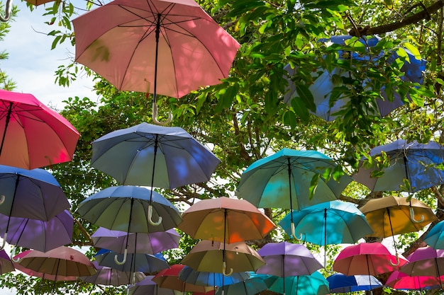 Décoration de parapluies colorés accrocher sur l&#39;arbre avec fond de ciel