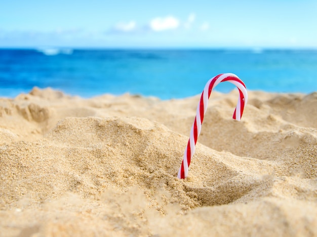 Photo décoration de plage et de noël tropicale