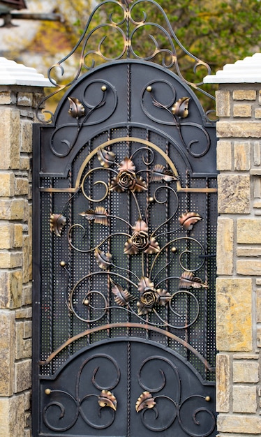 Décoration de porte avec des éléments en fer forgé ornés, gros plan.