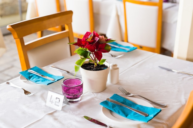 Décoration de pots de fleurs sur la table, à l'intérieur