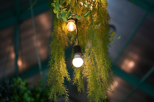 Photo décoration suspendue de lampe la fausse plante colorée artificielle suspendue à l'envers pour le fond de décoration intérieure