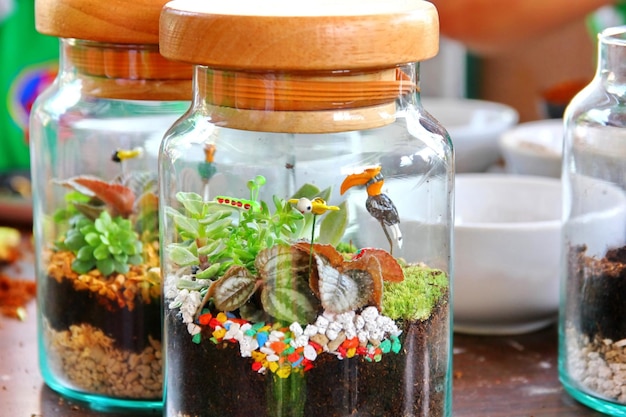 Décoration terrarium beauté par petit accessoire en petit flacon