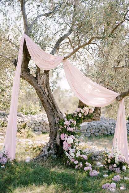 Décoration en tissu sur l'arbre