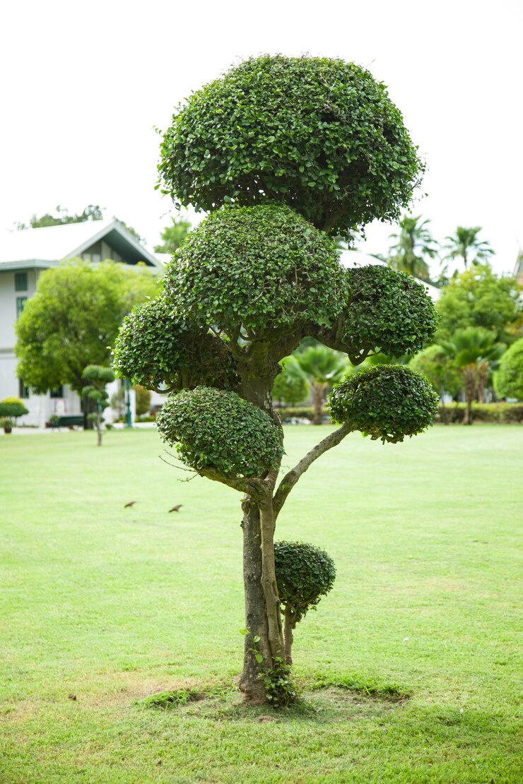 Photo décorations d&#39;arbre.