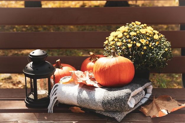 Décorations d'automne confortables sur un banc