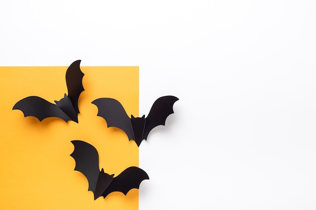 décorations de chauves-souris en papier vue de dessus pour halloween