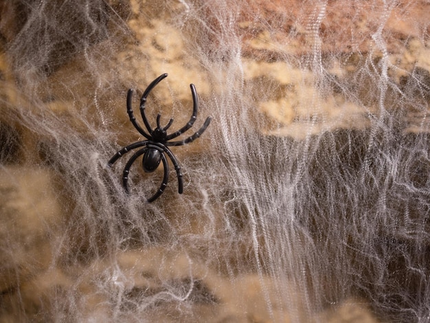 Décorations d'Halloween, mur de briques, toiles d'araignées épaisses, fausses araignées.