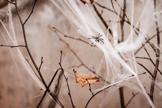 Décorations d'Halloween toile d'araignée blanche sur fond de bougies allumées dans une pièce sombre le soir verticalement horreur