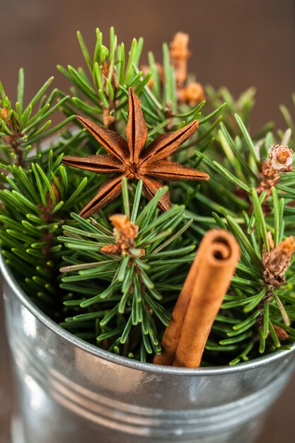 Décorations de Noël, branche de sapin en pot