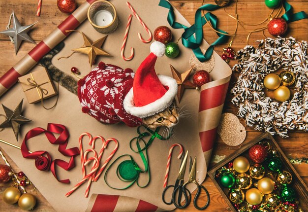 Décorations de Noël et chat en pull et bonnet d'hiver rouge