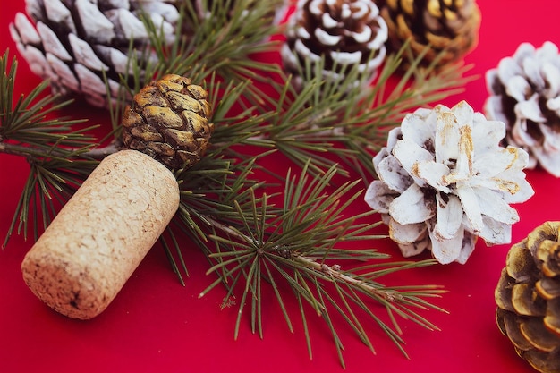 Décorations de Noël Décorations de sapin de Noël Pommes de pin Objets de décoration pour les fêtes