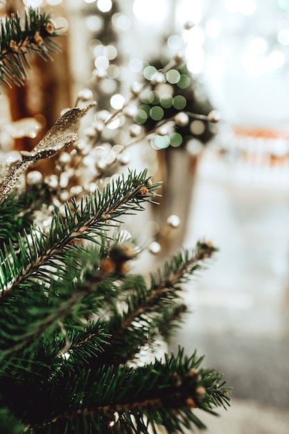 Décorations de Noël dorées sur les branches d'épinette Ambiance festive Beau bokeh