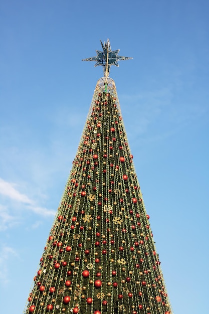 Décorations de Noël sur fond d'épinette verte