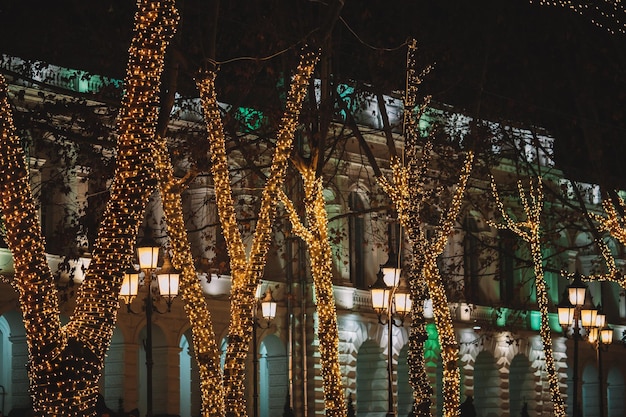 Décorations de Noël illuminées dans la rue