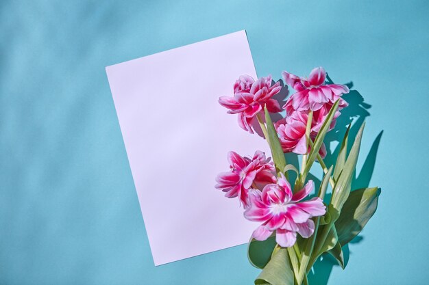 Décoré de tulipes roses fraîches avec des feuilles vertes avec un reflet d'ombres