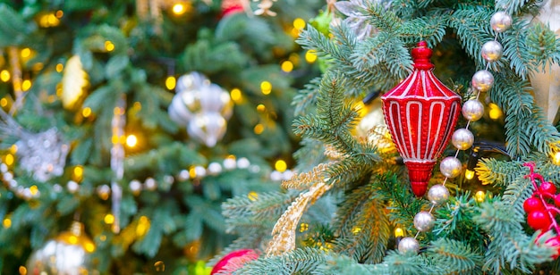 Décorées de manière festive de belles branches d'un arbre de Noël.