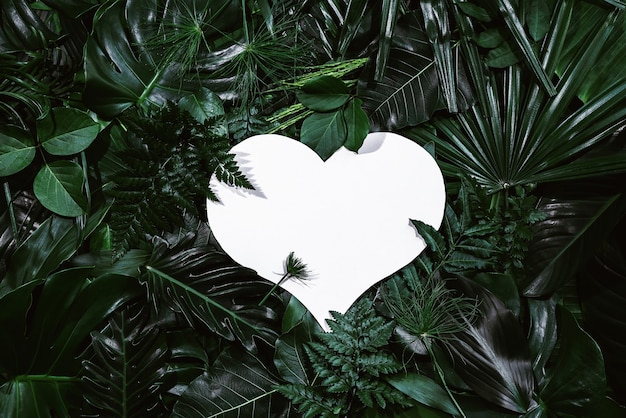 Photo découpe en forme de coeur avec des feuilles vertes concept d'amour mise à plat