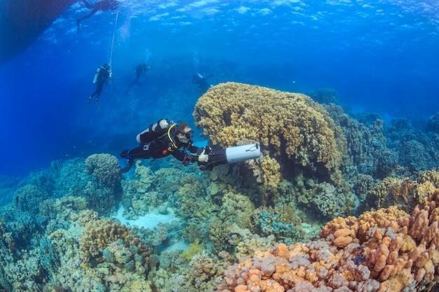 Découverte de la beauté du monde sous-marin Mer Rouge