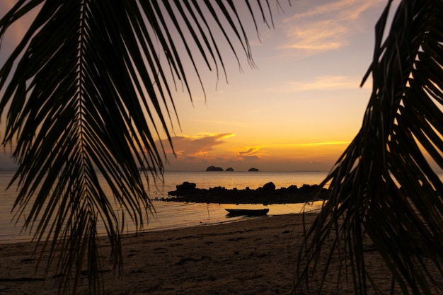 Découvre à travers les feuilles de palmiers sur l'océan. Il y a un bateau en bois sur l'eau. Le coucher du soleil. Plage de sable. Romance