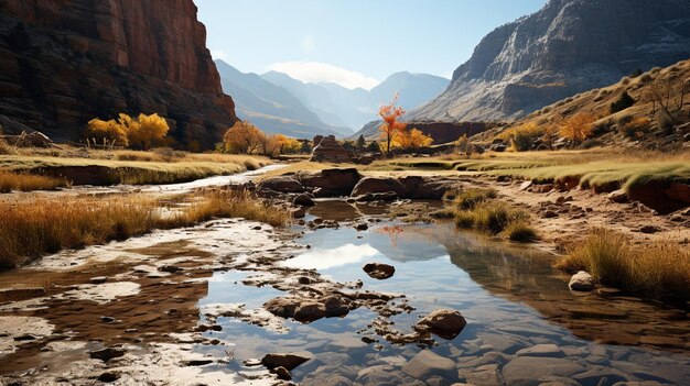 Découvrez la beauté des paysages de gravier