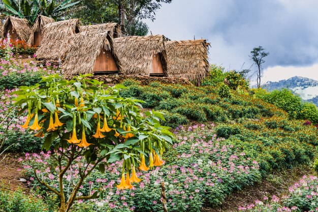 Découvrir la Thaïlande