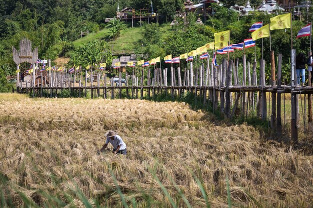 Découvrir la Thaïlande