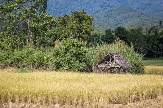 Découvrir la Thaïlande