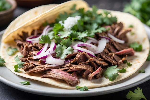 Default_Closeup_shots_of_mouthwatering_carne_asada_tacos_toppe_5jpg