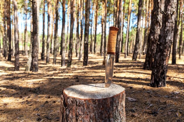 Définir Un Couteau De Chasseur Touristique Mug Cartouches Brûleur à Gaz Allumettes