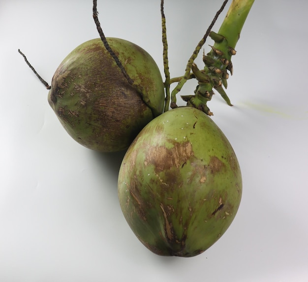 Degan ou kelapa muda est des tas de noix de coco verte Jeune noix de coco