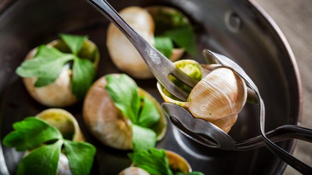 Dégustation d'escargots à cuire