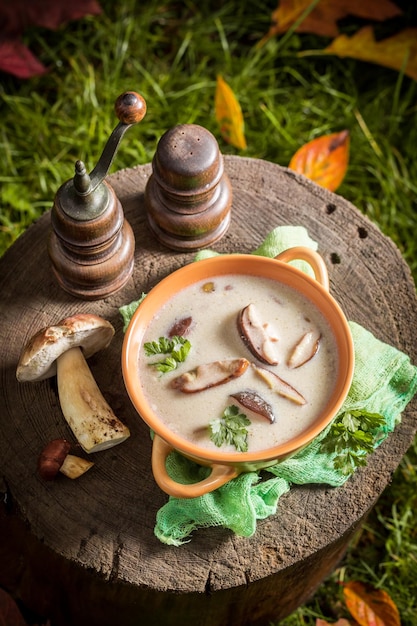 Dégustez votre crème de cèpes sur une vieille souche en bois