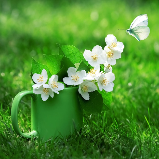 Délicat bouquet parfumé de jasmin dans une tasse verte et un papillon sur l'herbe verte Format carré