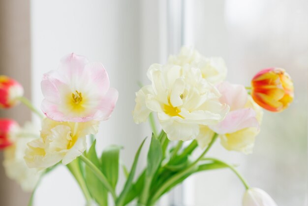 Un délicat bouquet de tulipes sur la fenêtre