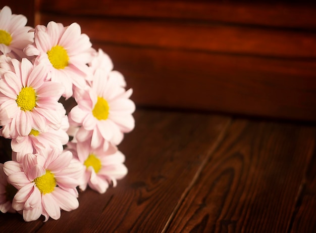 délicates fleurs de chrysanthème rose sur un fond de bois