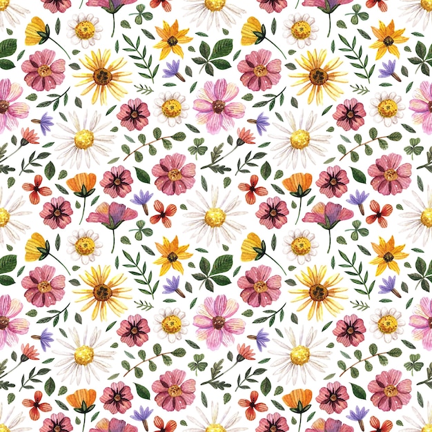 De délicats motifs harmonieux d'aquarelles florales pressées et des compositions de fleurs séchées sont placés sur du blanc