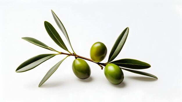 Délices verts gros plan d'olives fraîches