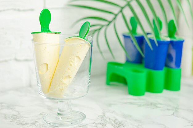 Délicieuse glace maison à la vanille sous une forme spéciale pour la congélation. Friandises maison, desserts.