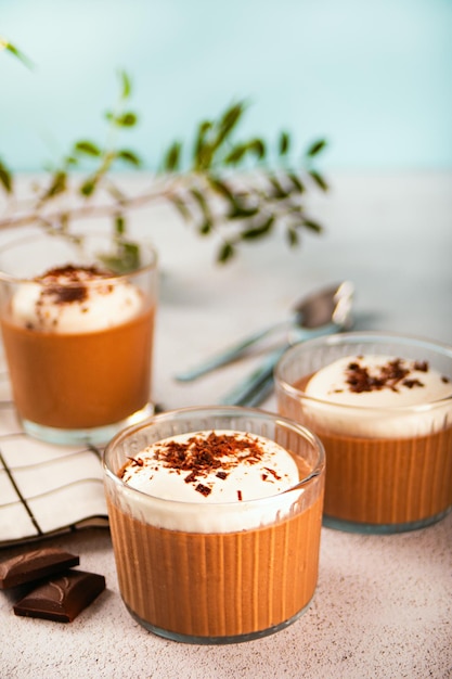 Délicieuse mousse au chocolat maison panna cotta pudding crème fouettée dans des verres