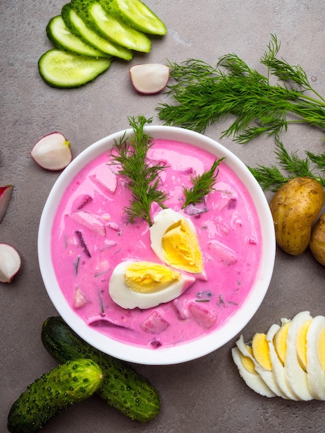 Délicieuse soupe de betterave au yogourt froid avec radis d'échalotes de concombre décorée d'œufs durs coupés en tranches et d'aneth dans un bol