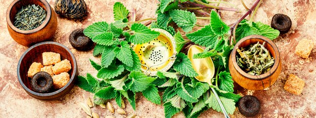 Délicieuse tisane infusée à la feuille de mélisse