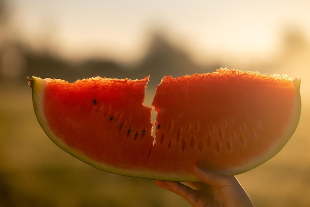 Délicieuse tranche de pastèque en plein air pique-nique d'ambiance d'été