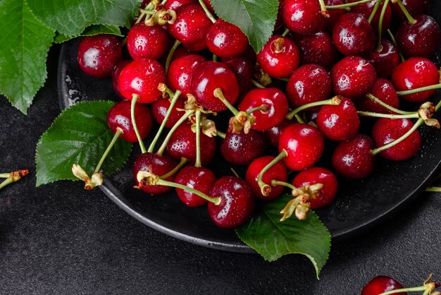 De délicieuses baies de cerises rouges brillantes fraîches déchirées dans le jardin d'été