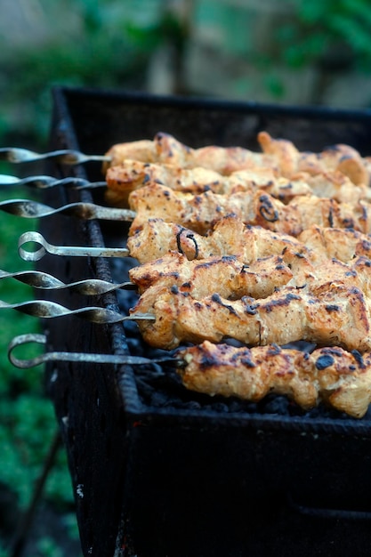 Délicieuses brochettes de viande sur brazier pendant le pique-nique