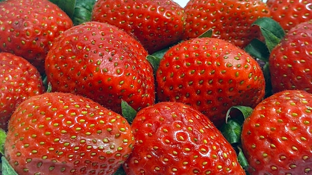 Délicieuses fraises rouges fraîches sur la vue de dessus de fond blanc