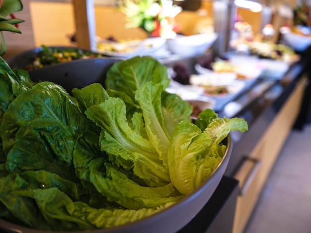 Délicieuses laitues et salades au buffet de l'hôtel